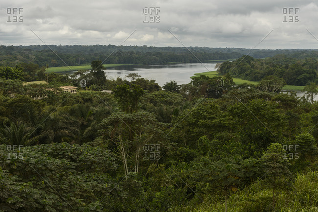 The river of equatorial rainforest, Gabon, Central Africa