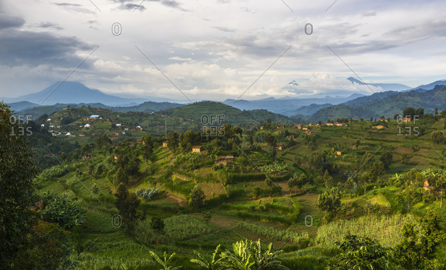 Village life and view of the Virunga volcanoes near Gisenyi, Rwanda, Africa Village life and the view of the Virungas, Near Gisenyi, Rwanda, Africa