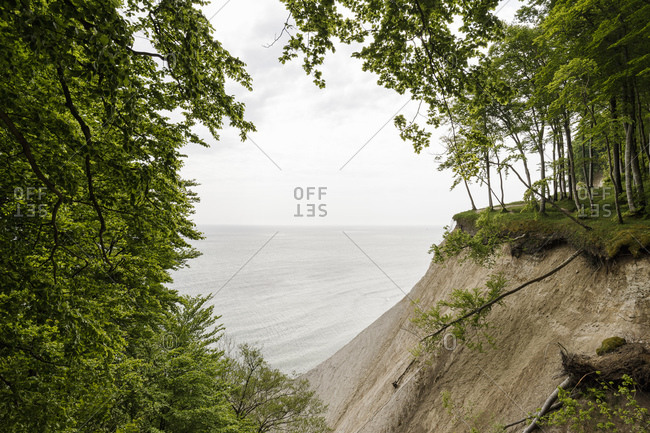 fænomen Rasende Mediate cliff with trees by the sea stock photos - OFFSET