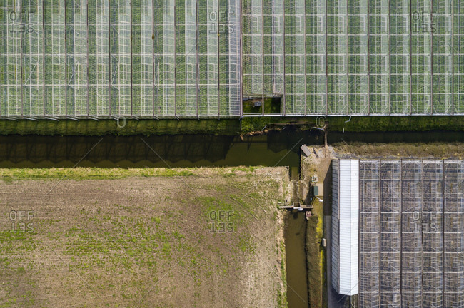 Greenhouse in the Westland area, part of Netherlands with large concentration of greenhouses, overhead view, Maasdijk, Zuid-Holland, Netherlands
