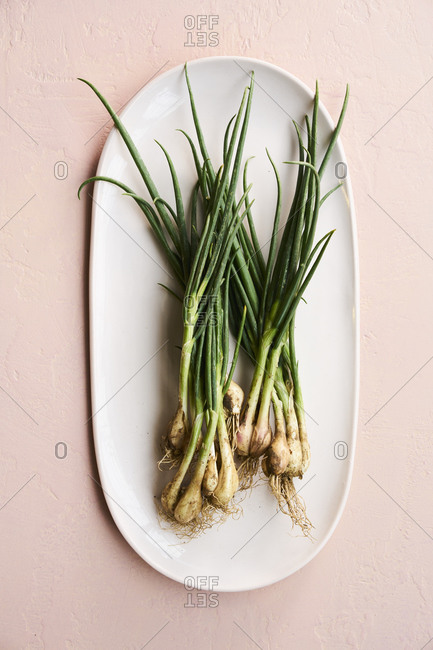 Fresh Spring Onions Vegetables Raw on ceramic dish and pink background