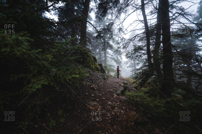 Unrecognizable hiker in warm outerwear standing on stony path in foggy forest on cloudy day in autumn