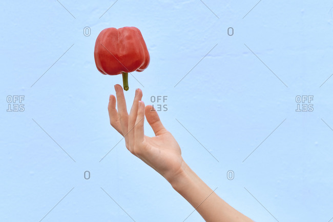 Crop woman tossing fresh red pepper in air showing concept of healthy diet on blue background