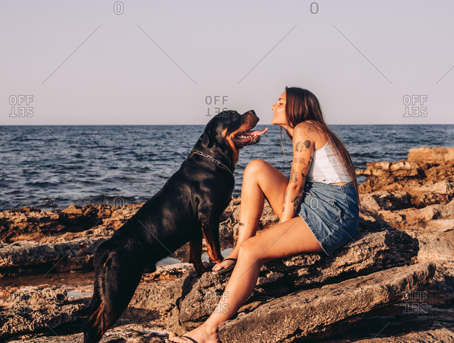 Side view of trendy tattooed woman sitting on stone and kissing Rottweiler dog while spending time on rocky seashore