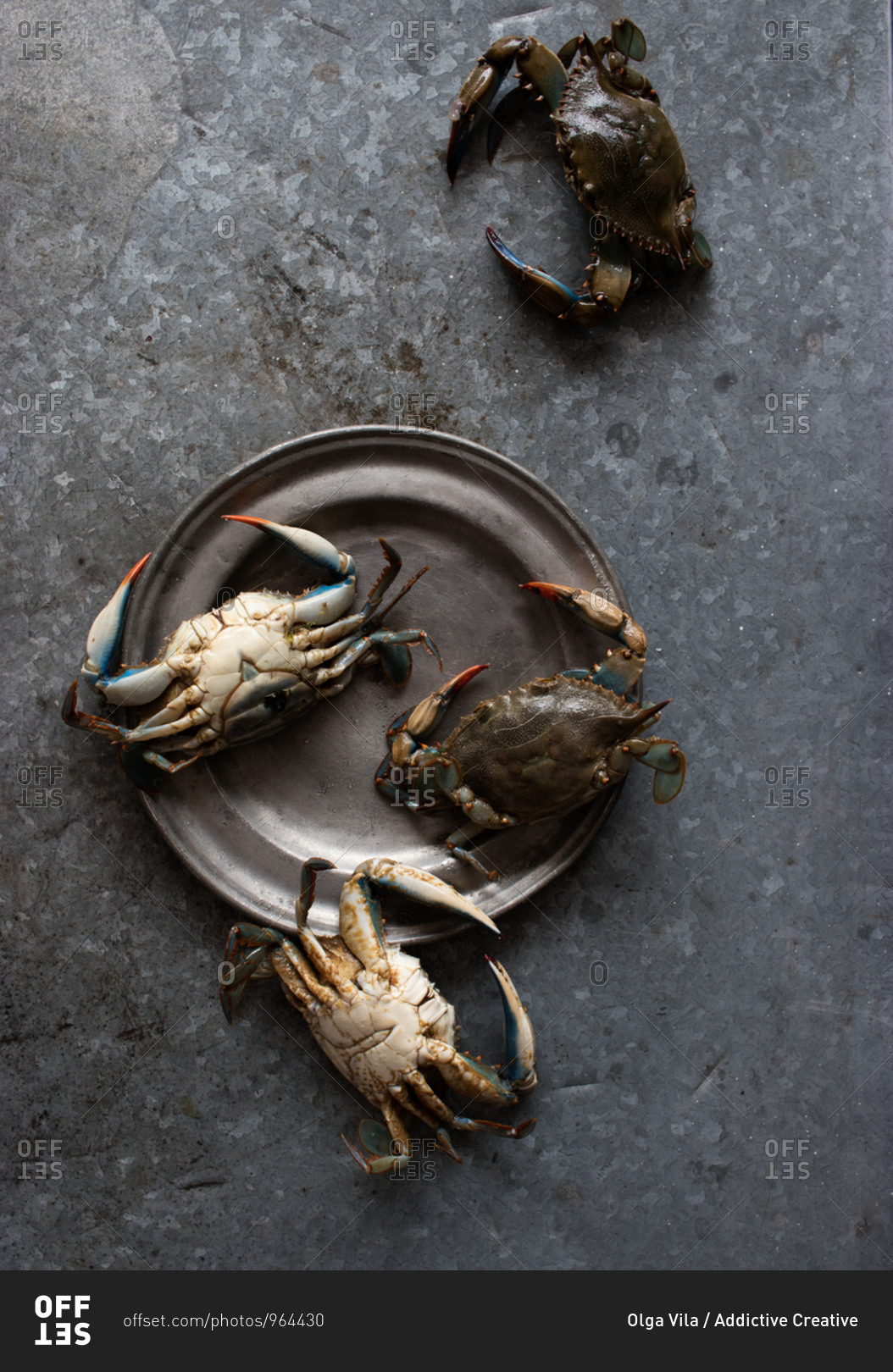 From above crabs placed on a metal plate on dark background