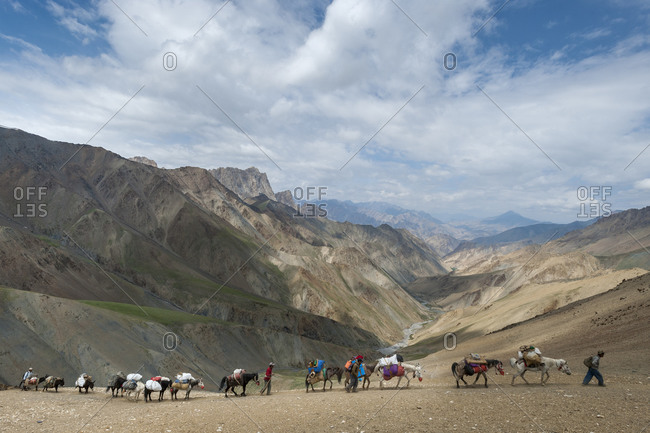 Pack horses laden with trekking equipment cross the Konze La on the Hidden Valleys trek