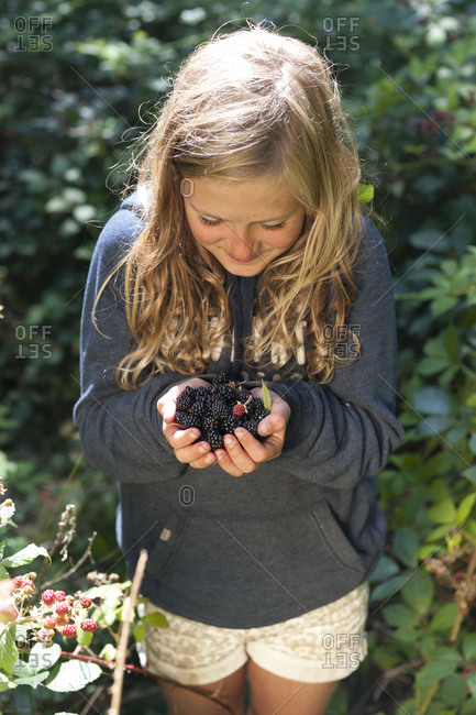 brambleberry stock photos - OFFSET