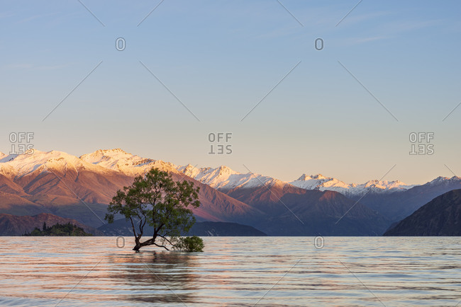 Wanaka New Zealand Stock Photos Offset