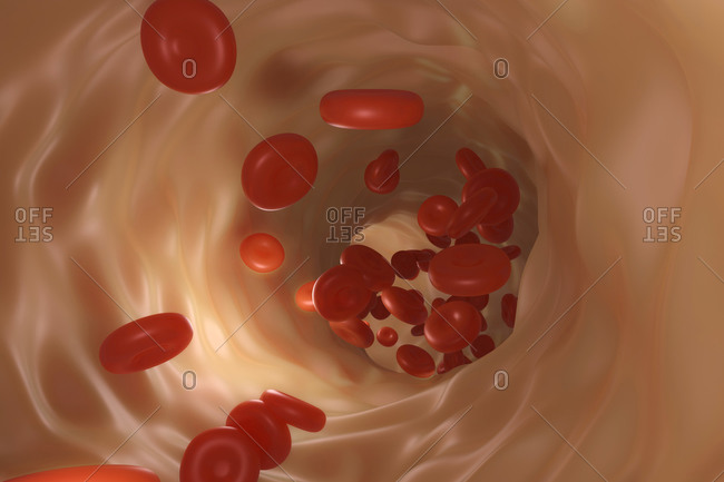 3D Rendered illustration of red blood cells in bloodstream