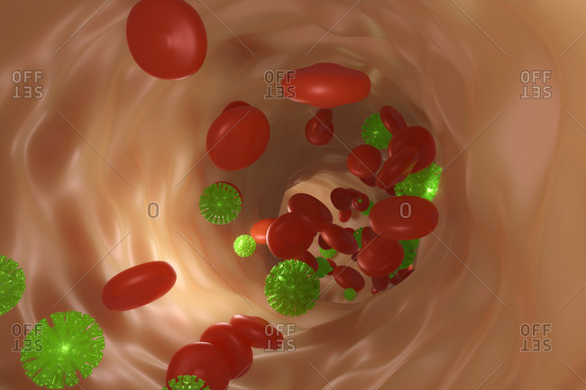 3D Rendered illustration of red blood cells and Coronavirus in bloodstream