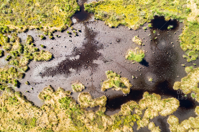 Aerial view, straight down, of dried out fen in peat bog during the dry summer of 2018, Haaksbergerveen, Twente, Overijssel, The Netherlands