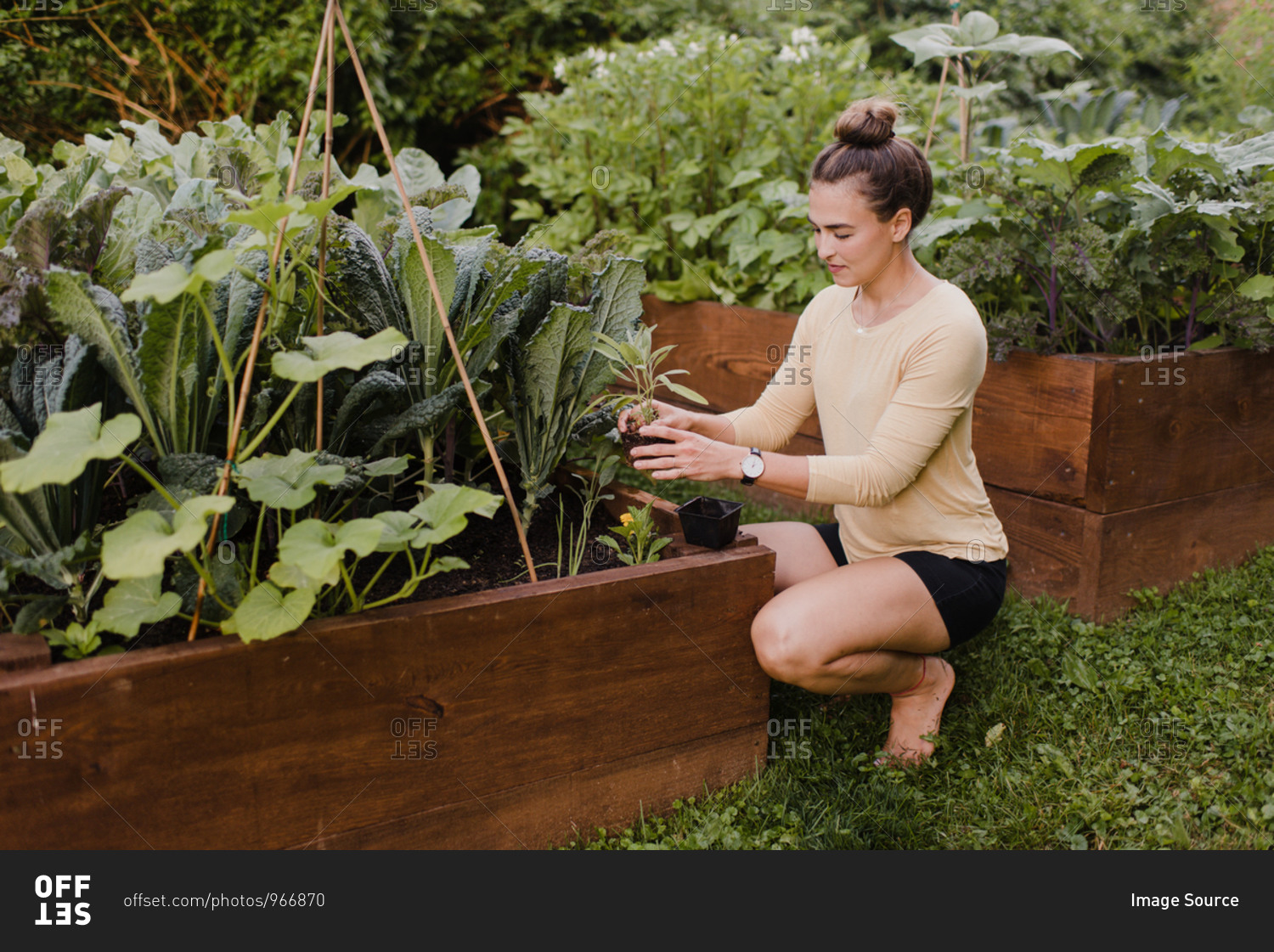 Woman working in her garden stock photo - OFFSET