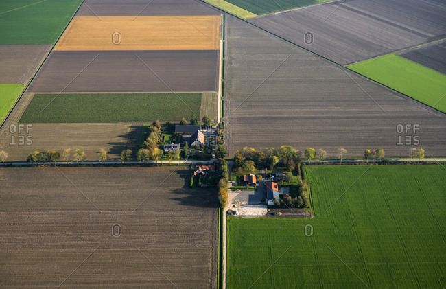 Noordoostpolder, agricultural area, Bant, Flevoland, Netherlands