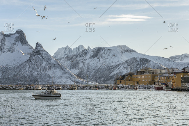 January 1, 1970: Oyfjord with fishing village Husoy, Senja, Norway