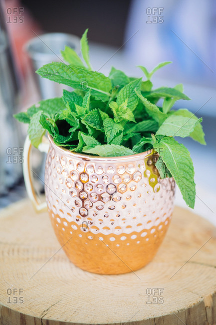 Closeup of copper mug used for serving of Moscow Mule cocktail filled with fresh green mint leaves and placed on wooden stand