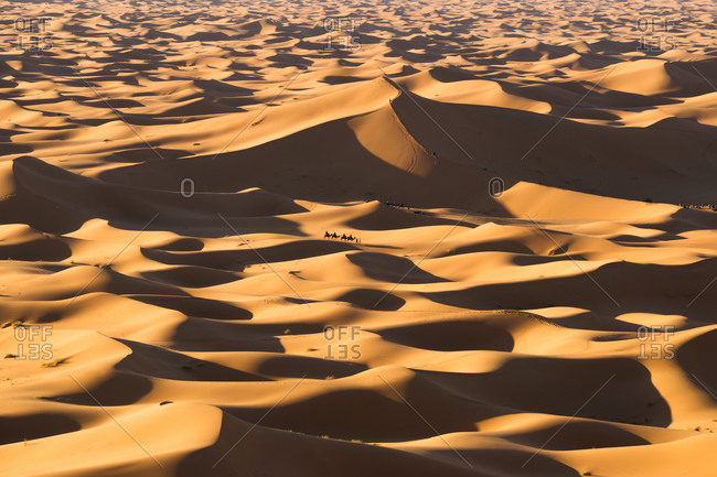Drone view of scenery of desert with sand and camel caravan on day in Morocco stock photo - OFFSET