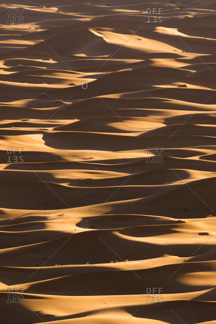 Minimalistic desert landscape with sandy dunes in Morocco