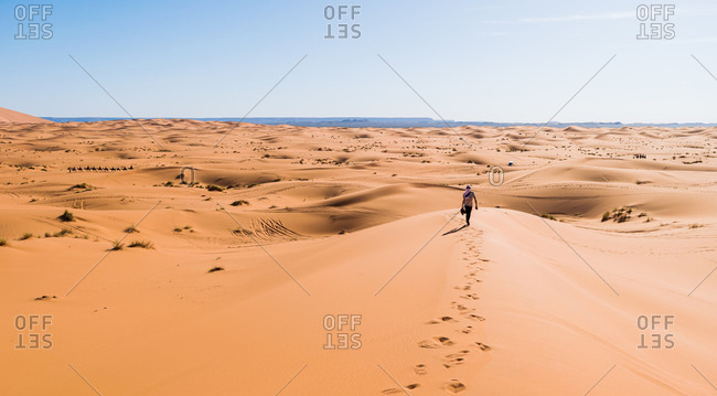 Back view of unrecognizable tourist enjoying stroll along sandy terrain in desert of Morocco on sunny day with blue sky