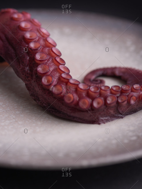 Long tentacle of raw octopus placed on dish on black table in luxury restaurant