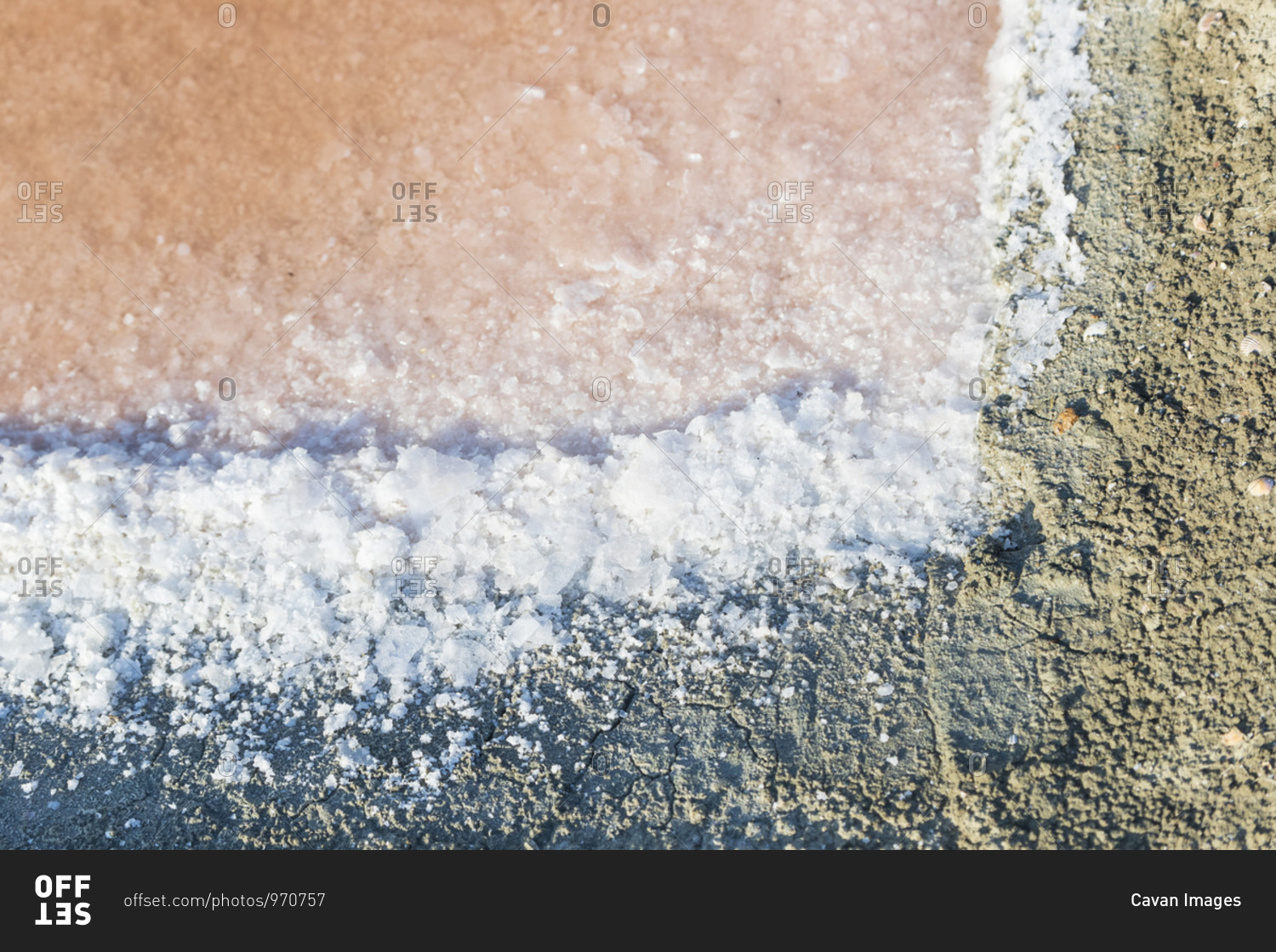 Salt on edge of salt marsh, Les Portes-en-Re, Nouvelle-Aquitaine, France