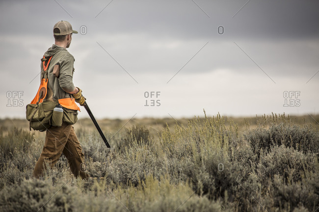 Man upland bird hunting with his dogs in the plains of northeastern Montana.