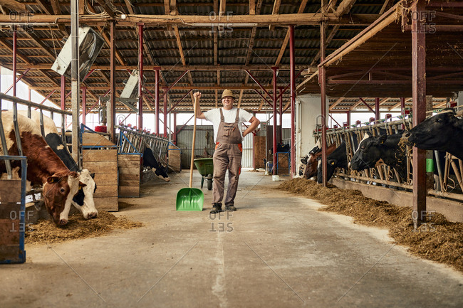 Male farmer holding shovel while standing in dairy farm