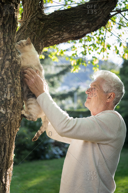 Senior with cat climbing on a tree in garden
