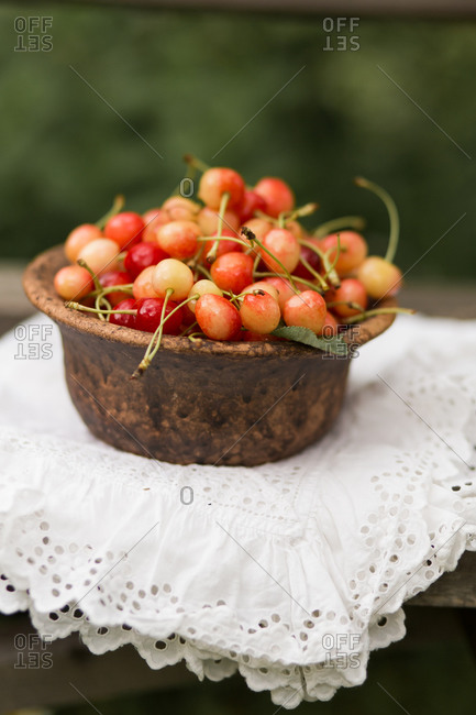 Bowl of fresh picked cherries