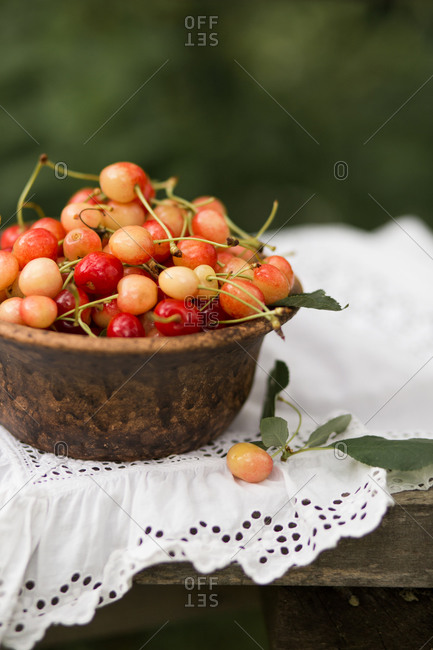 Close up of a bowl of fresh picked cherries