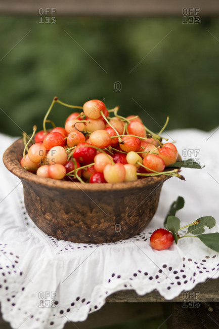Bowl of fresh picked cherries on an outdoor bench