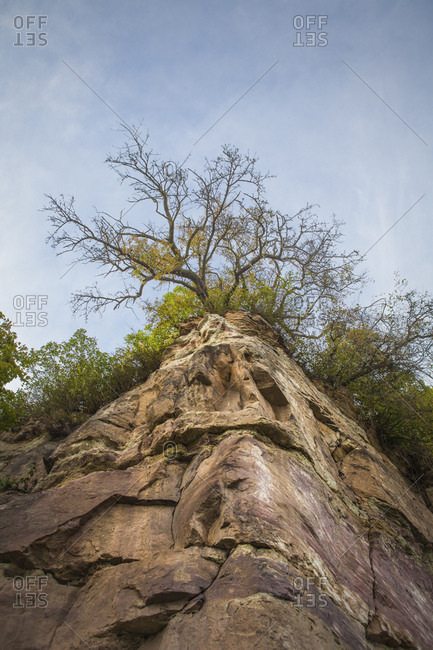 Rock with tree landscape image