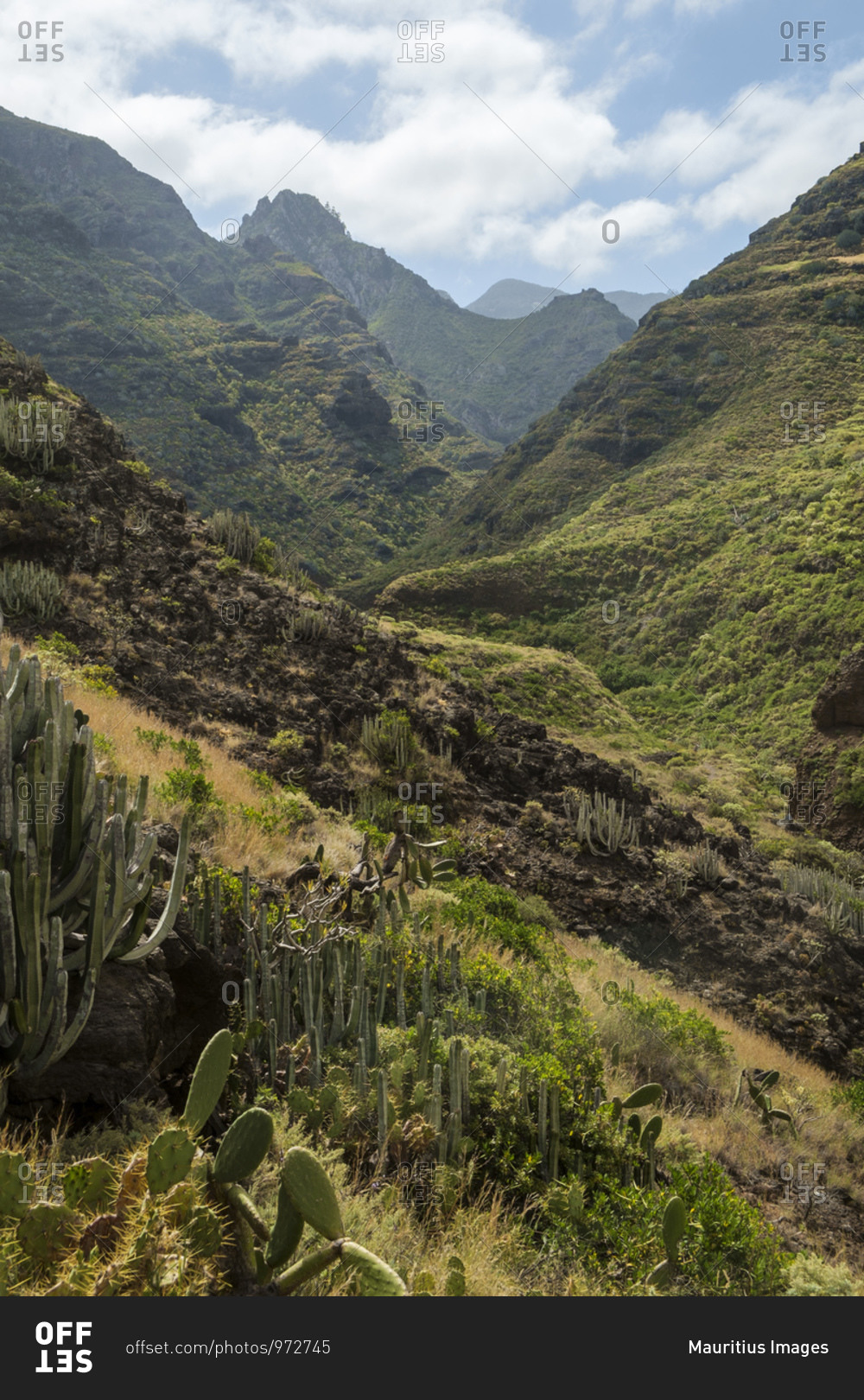 Authentic and engaging images from Offset