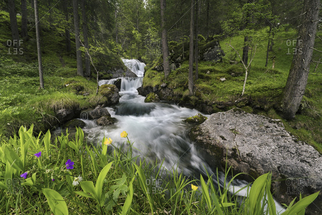 Brook with waterfall in Lechtal, Alps, Austria