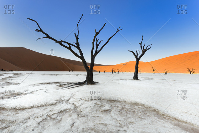 The red dunes of Sossusvlei and the dead trees of Deadvlei, Namibia