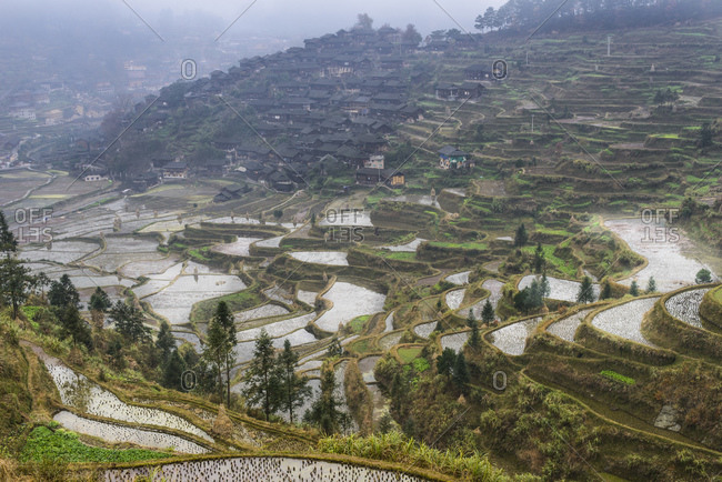 XiJiang Rice Terraces, Traditional Village of the Miao Indians, Guizhou Province, China