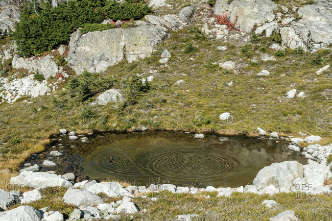 Rippled pond in grassy mountains, Pemberton, British Columbia, Canada