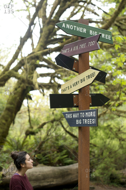 Funny directional sign in redwood forest, Redwoods, California, USA
