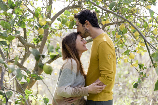 Loving man kissing girlfriend on forehead while standing by lemon tree in farm