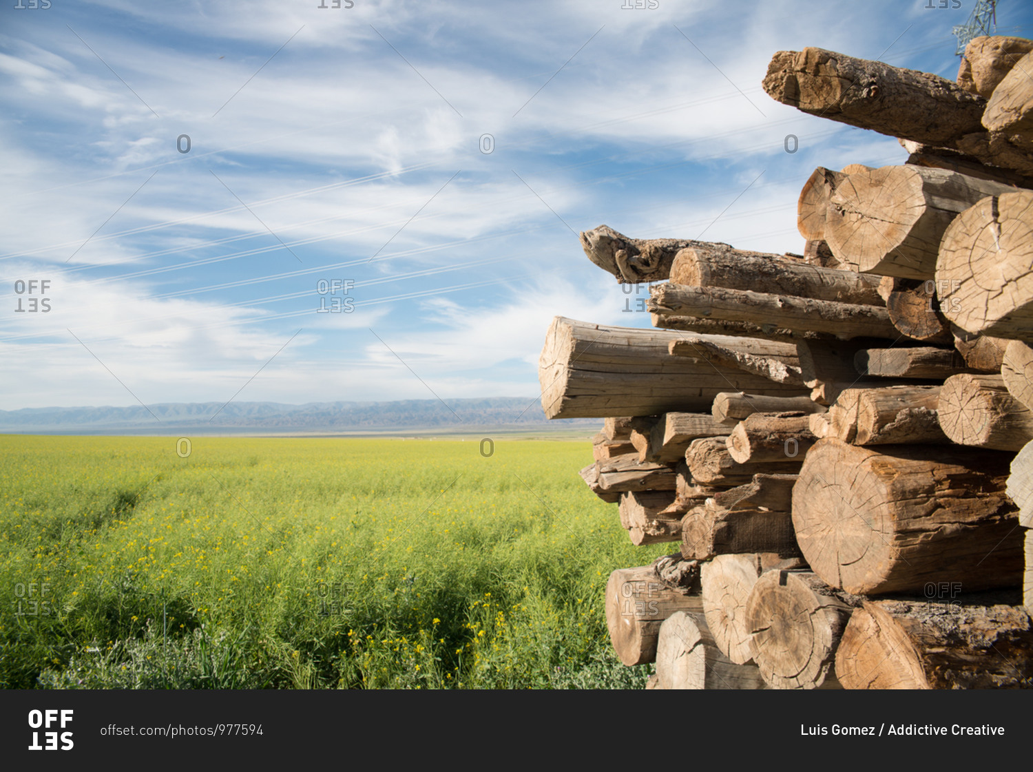 Stack of timber placed on green meadow on background of amazing blue sky