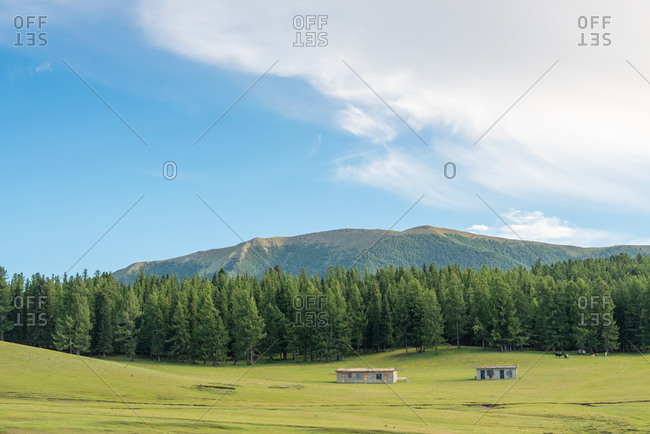 Spectacular aerial view of mountains covered with evergreen forest on background of blue sky
