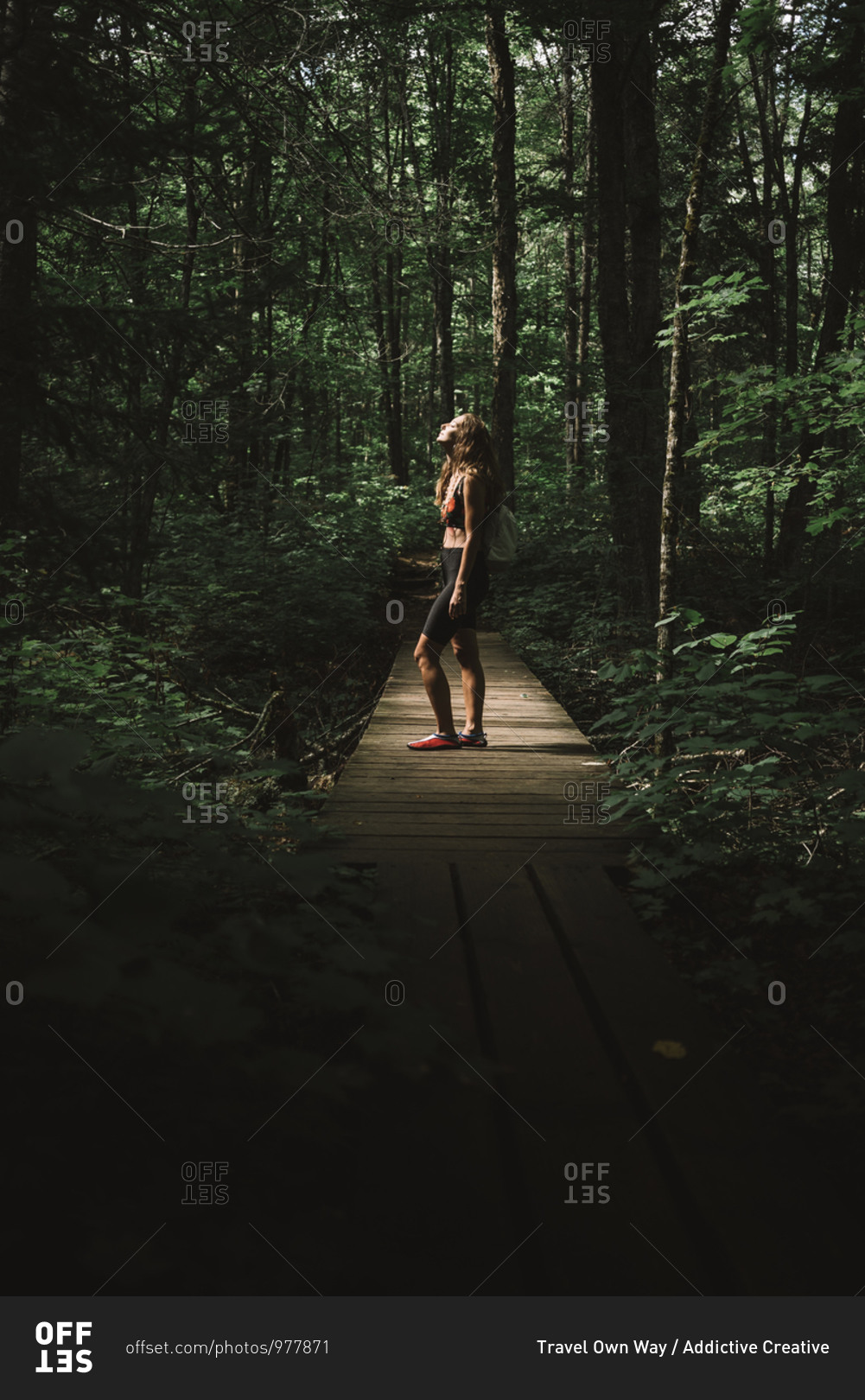 Side view of woman with backpack standing on lumber path and enjoying weather in green forest of La Mauricie National Park in Quebec, Canada