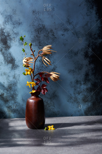 Spring still life of a vase with various spring buds and flowers in dappled afternoon light