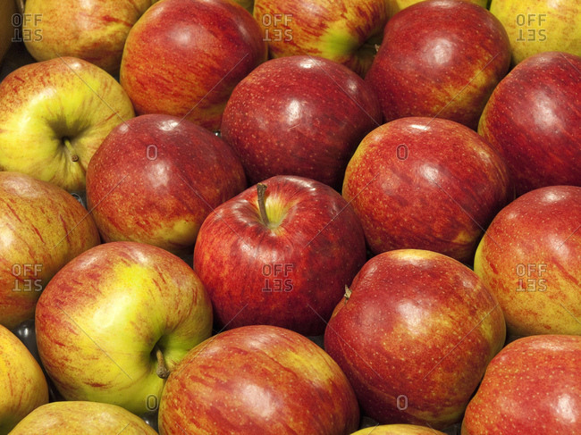 Detail shot of red apples