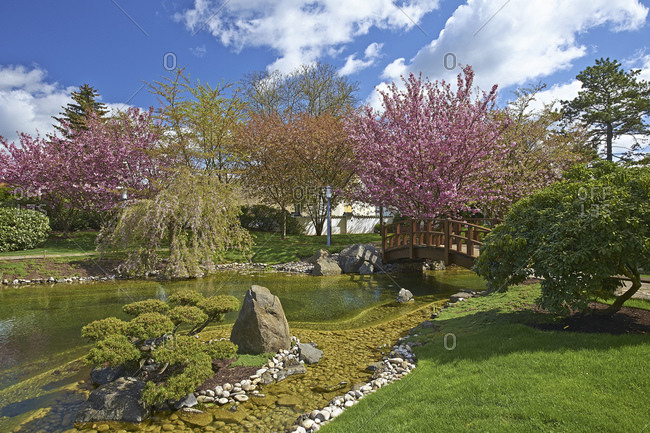 Japanese garden in Bad Langensalza, Thuringia, Germany, Europe
