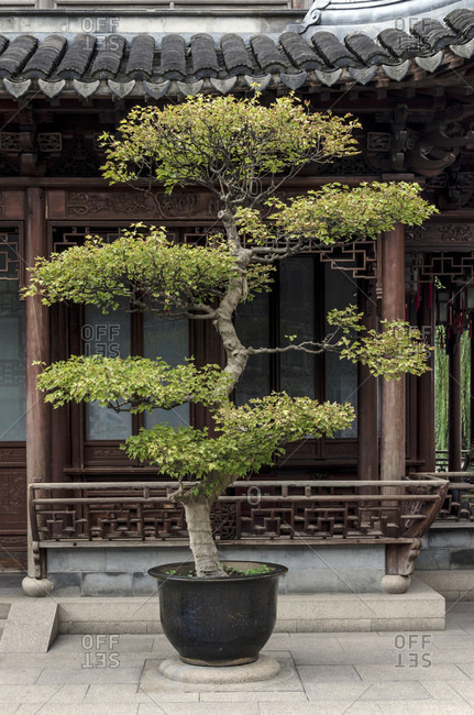 Yuyuan Garden, Puxi, Shanghai, China, Asia