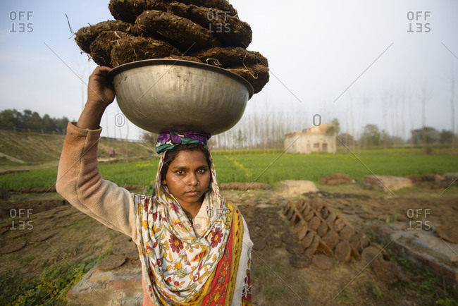 February 14, 2014: Indian women carry dried manure as heating material, Uttar Pradesh, India