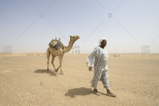 April 29, 2014: Sahara camel driver, Sudan