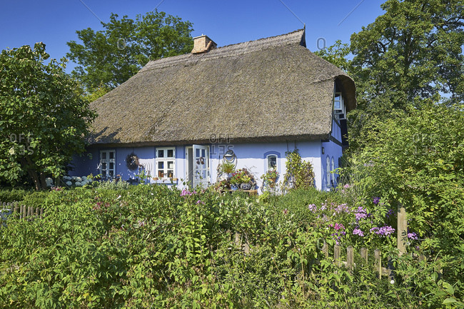 Thatched cottage in Quilitz in Lieper Winkel, Usedom, Mecklenburg-West Pomerania, Germany