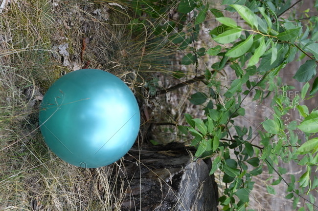 A light blue shiny ball in the grass by a tree stump