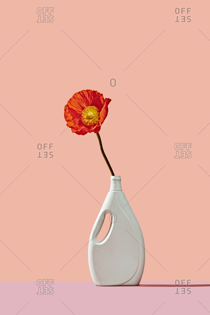Red Flower in a Cleaning Bottle